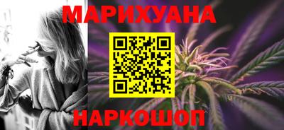 гашик Кингисепп