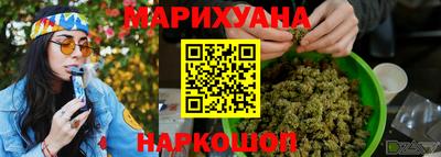 гашик Кингисепп