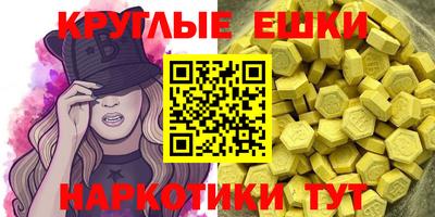 гашик Кингисепп