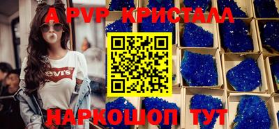 гашик Кингисепп