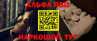 гашик Кингисепп