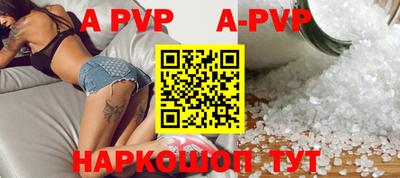 гашик Кингисепп