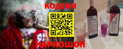 гашик Кингисепп