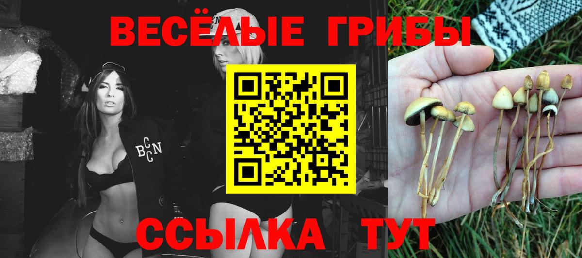 Галлюциногенные грибы ЛСД Красноперекопск